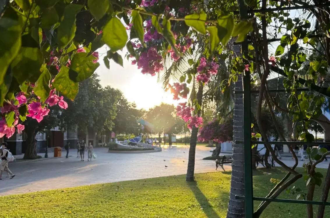 분홍색 꽃 너머로 보이는 빈원더스의 평화로운 광장 풍경