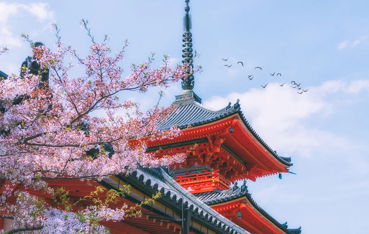 Kyoto Hotel Guide: 10 Best Stays from $35 for Every Budget