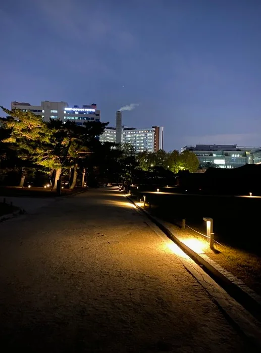 The moment when modern urban buildings meet the tranquility of the old palace