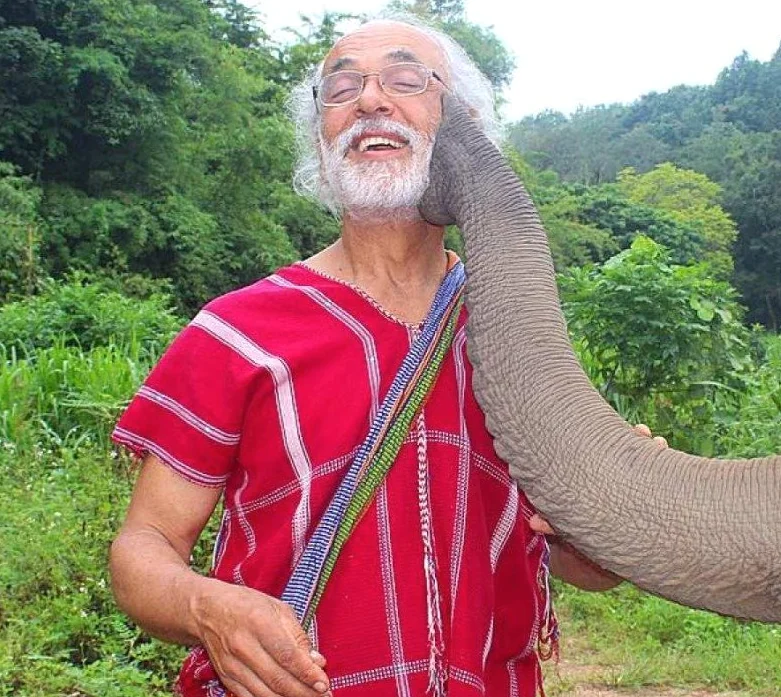 This image provides visual context for the discussed subject matter.